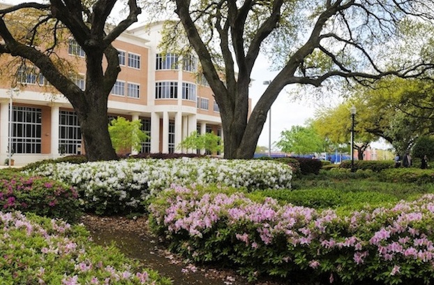 jsu_library