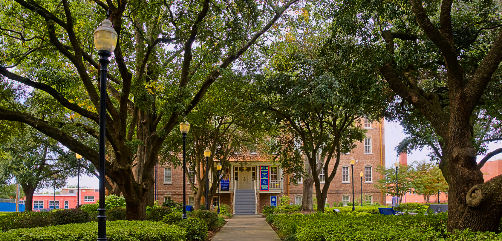 The Margaret Walker Center is in the process of developing a permanent exhibit for Margaret Walker to detail her life, along with a poetry festival, thanks to a $450,000 grant from the Andrew W. Mellon Foundation.