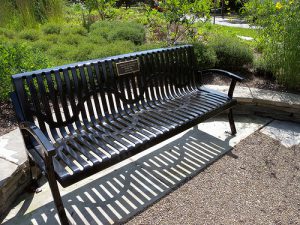 Toni Morrison Society Bench by the Road
