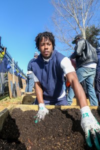 Working intensely, a student offers helping hands to the project that gained supported from a number of community partners. (Photo by Charles A. Smith/JSU).