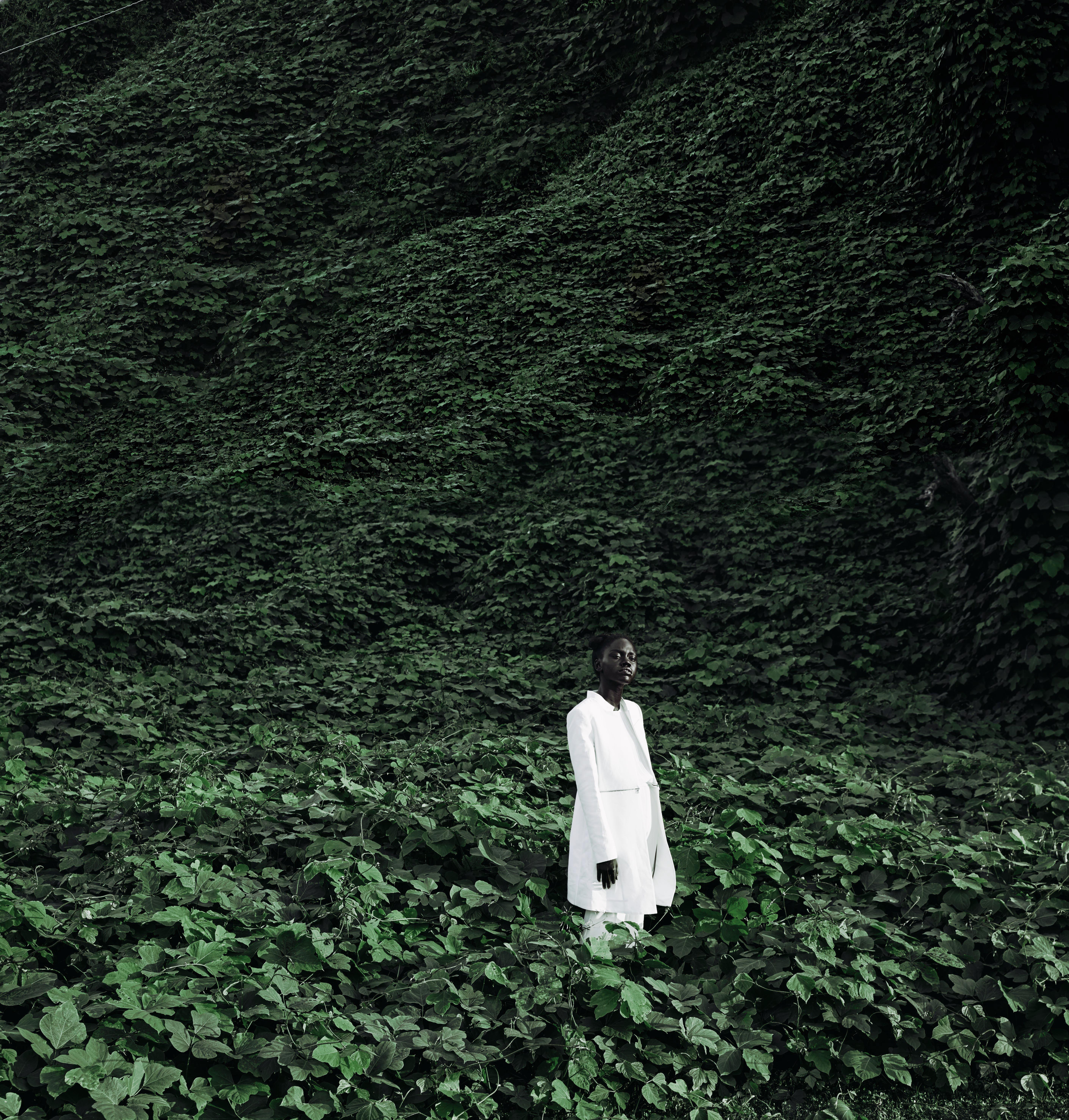 It's a JSU family affair/ JSU alum Justin Haridman captured model Destiney Williams, styled by JSU alum Tamala Green, in a field of Kudzu. The image went viral generating over 200,000 "likes."