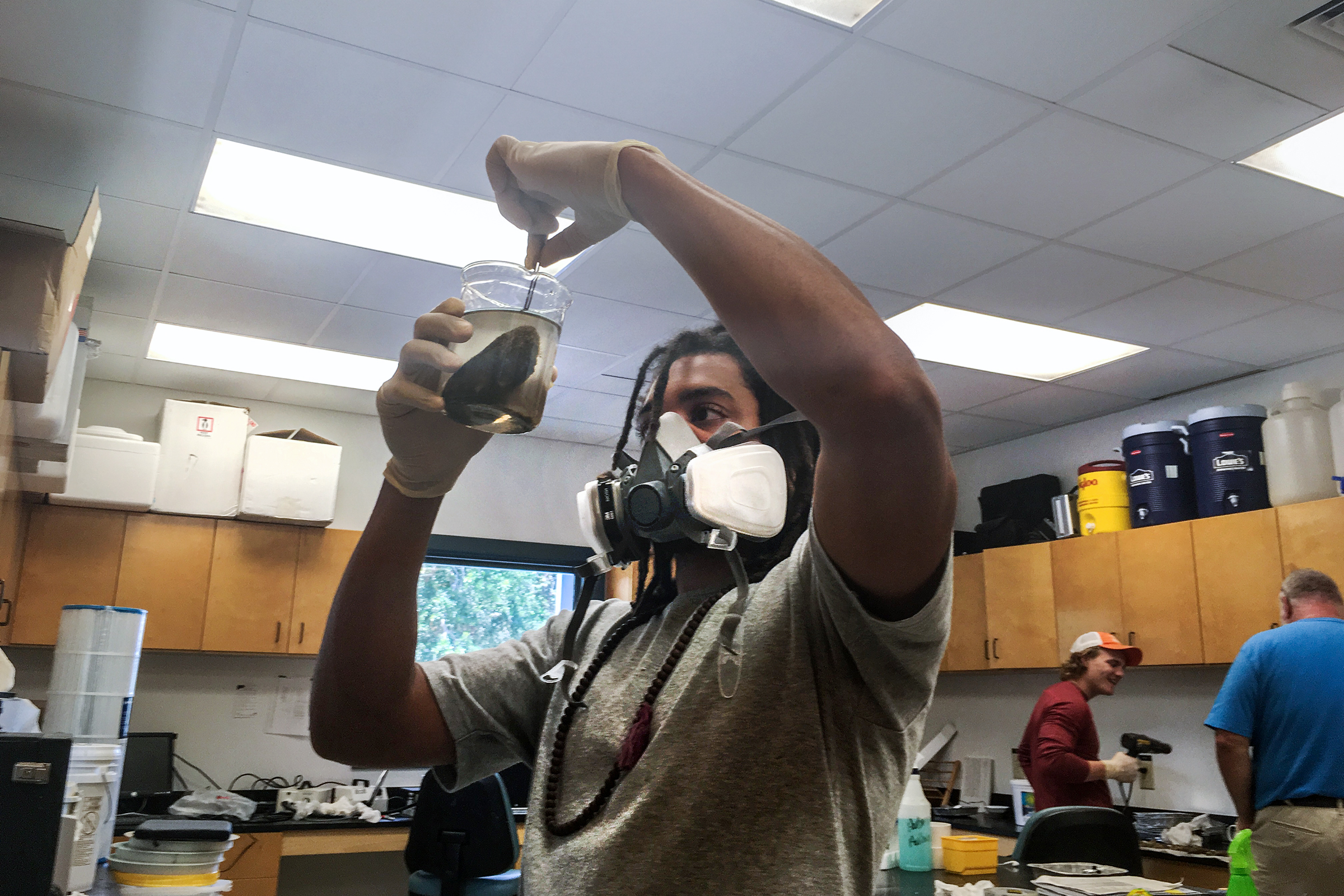 Harrison Watson tends to his oysters dipped in brine as he attempts to discover how long it takes for oysters to patch up their shells once the brine dip has taken place. (Photo special to the JSU newsroom)