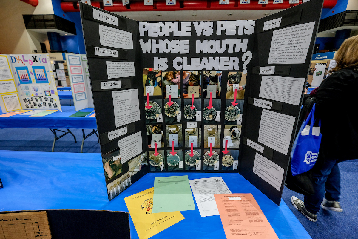 Many people may not have thought about whether mouths of humans are cleaner than pets, but the question was raised as part of an exhibition during the annual Region II Science Fair. A student concludes that it may not be a good idea to allow your pet to lick on your face. (Photo by Charles A. Smith/JSU)