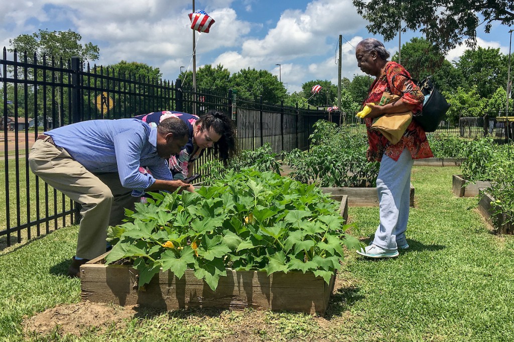 A patron observes as JSU husband-and-wife staffers Rod Denne and Heather Wilcox, director of the Center for University-Based Development, take a closeup of items in the garden. (Photo by Charles A. Smith/JSU)