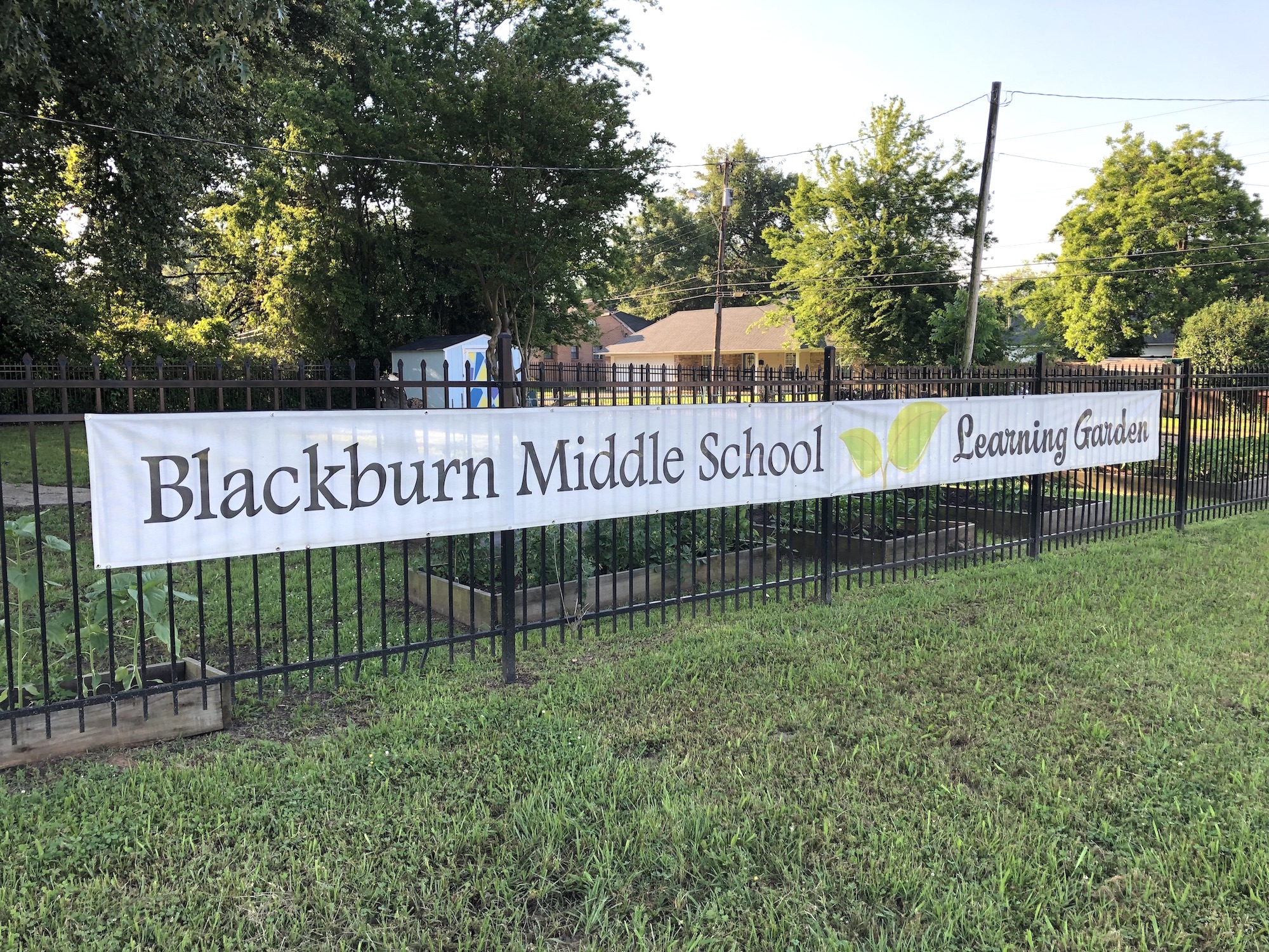 ckson State University and Jackson Public Schools’ Blackburn Laboratory Middle School have a long history of partnership. They created a garden project that has yielded several vegetable crops. Now, the young students are preparing to showcase the fruits of their labor. The community will be able to purchase produce from noon to 3 p.m. Wednesday, May 22. Also, a garden wall will be assembled to display pictures that capture phases of the planting process. (Photo by L.A. Warren/JSU)