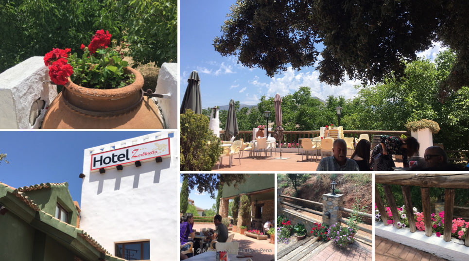 Guests are surrounded by flowers and beautiful landscape at Hotel Zerbinetta in Dillar, Spain.