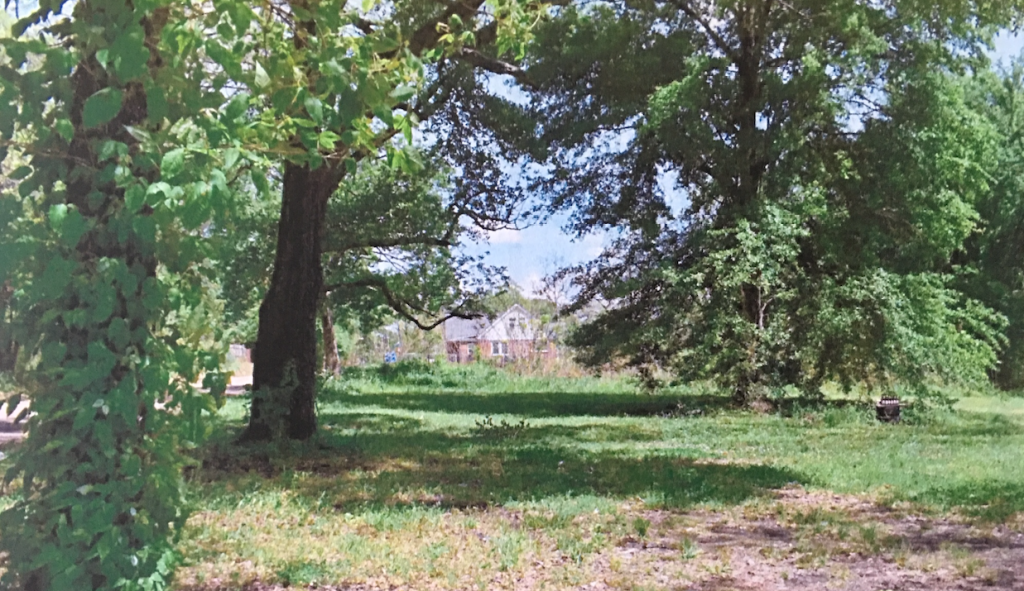 Eighty-five parcels of properties remain for sale through Dec. 31.