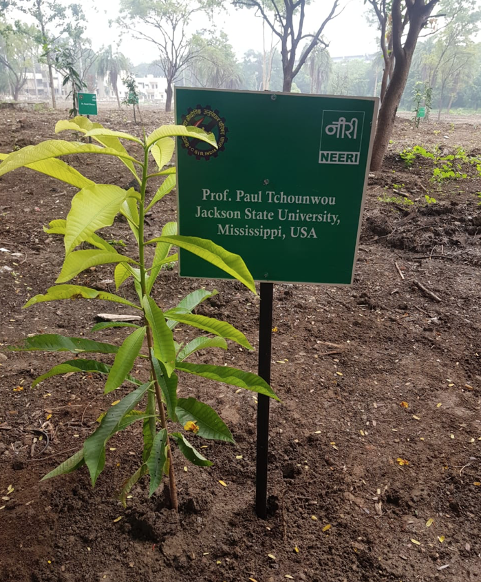 Tchnouwou planted a special tree in the NEERI garden to represent the role of the environment on human health.