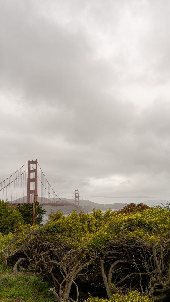 Mario Nichols, a junior communication major at JSU, was able to capture the sights of San Francisco before the COVID-19 pandemic brought the nation to all but a stand still. (Photo by Mario Nichols/JSU)