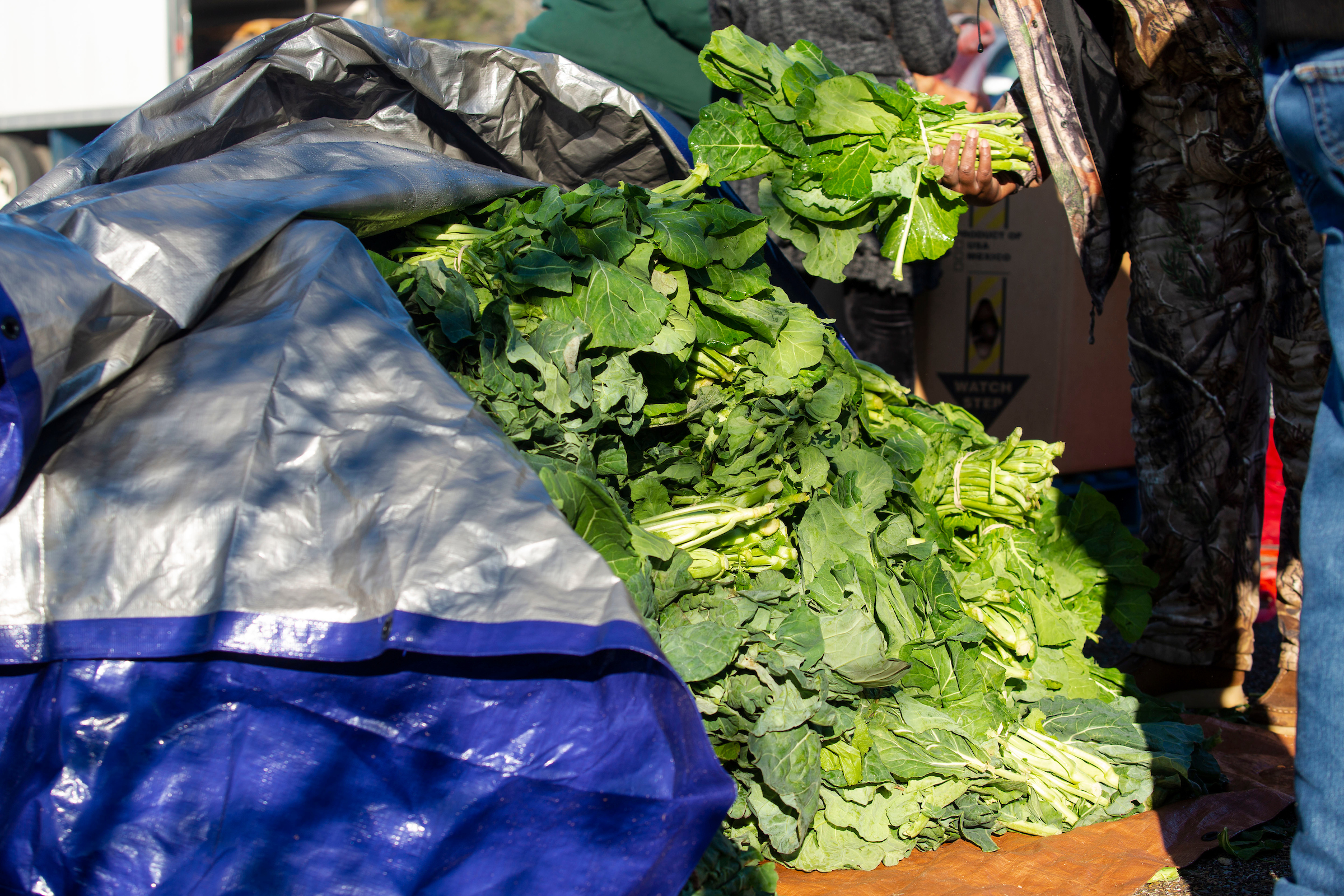 The Crop Drop event also handed out fresh garden greens to the community. (Photo by William Kelly/JSU)