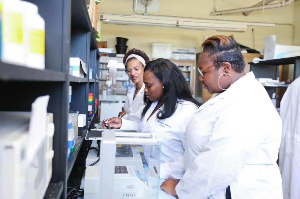 JSU President Thomas K. Hudson, J.D., said, “The Carnegie Classification’s reaffirmation of our high research activity status further solidifies the vision of our strategic plan to make research a high priority on campus.” He said student-scholars, faculty, staff and the community reap the benefits. (JSU)